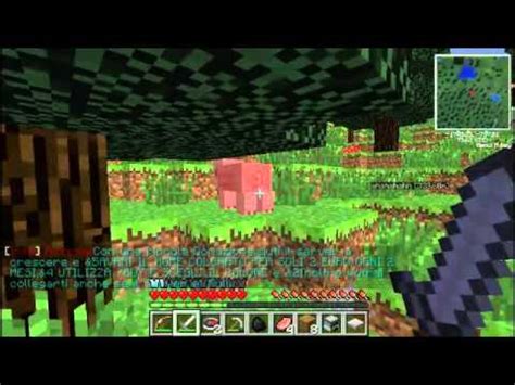 Cosè Un Server Hungergames Di Minecraft spiegazione e partita in live