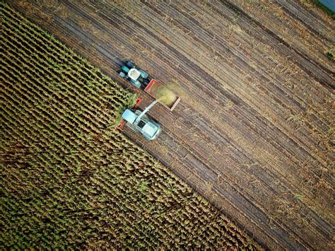 Agricoltura La Puglia Deve Restituire All Ue Milioni