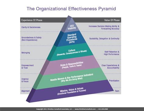 Levels Of Organization Pyramid