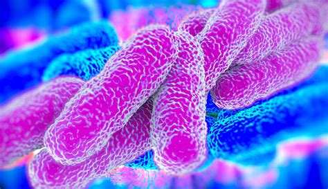 La Legionella Sintomi Diagnosi Terapia E Contagio Legionella Free