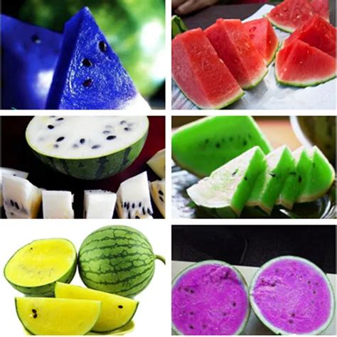 Hot sale Watermelon seeds 10pcs fruit vegetable seeds Garden Home plant ...