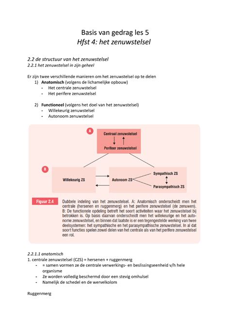 Basis Van Gedrag Les 5 Samenvatting Basis Van Gedrag Les 5 Hfst 4