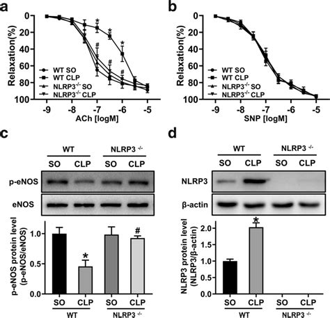 Effect Of Nlrp3 Knockout On Aortic Vasodilation Function And P Enos