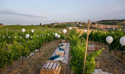 Conti Degli Azzoni First Wine Lovers Then Wine Producers