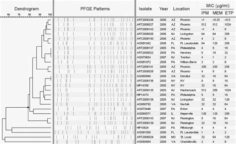 Dendrogram Showing The Relatedness Of Isolates Based On Pfge Patterns