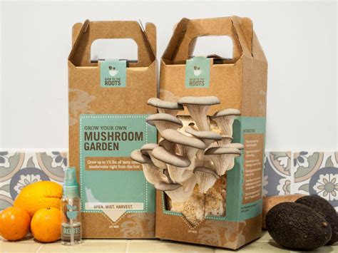 How To Get Benefits Via Exceptional Custom Mushroom Boxes