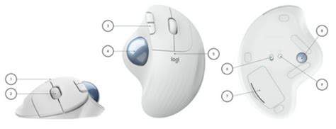 Logitech Ergo M575 Wireless Trackball Mouse User Guide