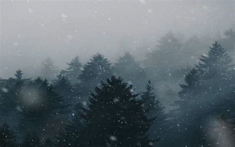 Download Animated Forest Snow 4k-8k Wallpaper - GetWalls.io