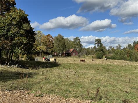 Abbotn S S Teri Nu R Alla Kalvar Inne Atl