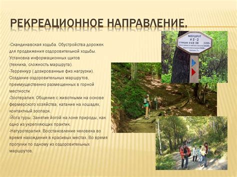 Исследовательская работа по программе «Рекреационный туризм в Кусинском ...