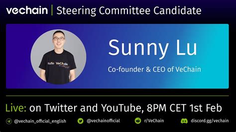 Vechain Steering Committee Candidate Sunny Lu Youtube