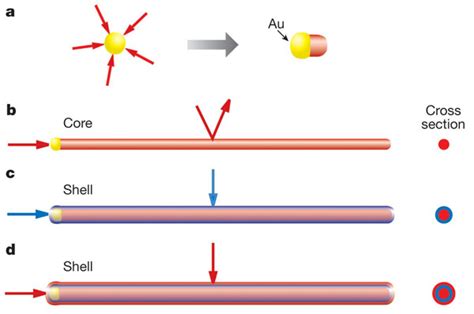 Synthesis Of Coreshell Nanowires By Chemical Vapour Depositiona