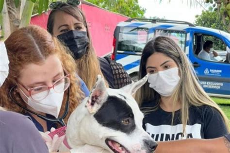 Feira De Ado O De Animais Acontece Nesta Sexta Em Salvador