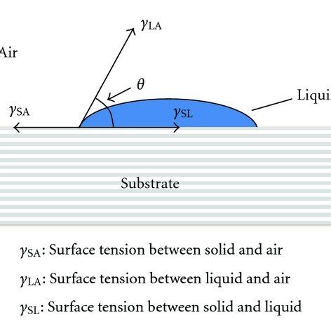 (PDF) Adhesion and Cohesion 