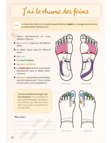 Mon cahier de Réflexologie plantaire Se soigner par les pieds