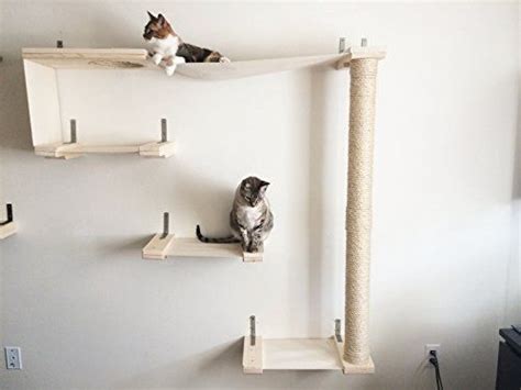 Catastrophicreations Sky Track Cat Hammock And Climbing Activity Center