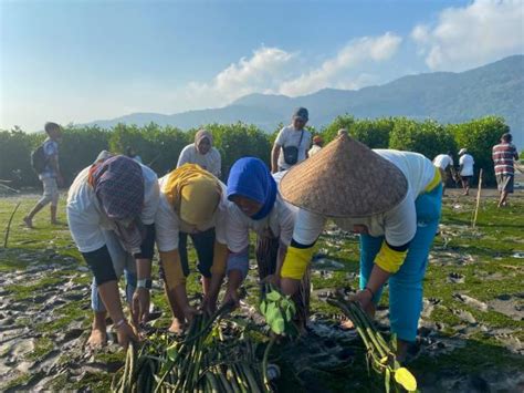 Nelayan Ganjar Beri Edukasi Dan Konservasi Pentingnya Hutan Mangrove