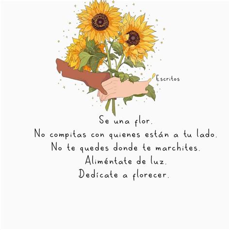 Pin De Mercedes Freitte En Positiva Frases De Flores Frases Bonitas