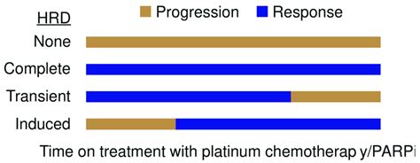 Clinical Scenarios Of Homologous Recombination Deficiency Hrd Parpi Download Scientific