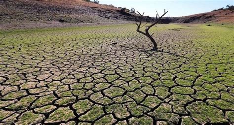 Qu Significa Que El Mundo Haya Entrado En Ebullici N Global Y Cu Les