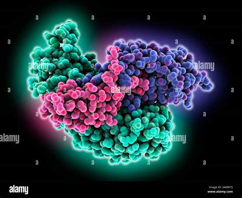 Follicle Stimulating Hormone Fsh Complexed With Receptor Fshr