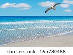 Seagulls Flying Over Ocean Free Stock Photo Public Domain Pictures