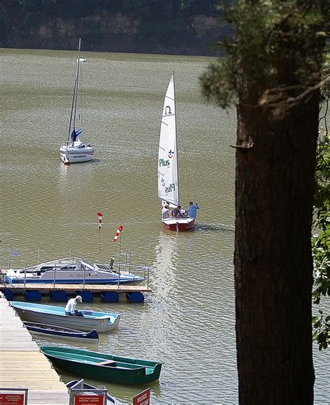 Free Images Sea Tree Water Dock Sport Boat Vehicle Mast