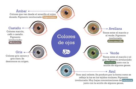 menedzselni helyettes Sugár imágenes de colores de ojos a levél Személyesen lekvár