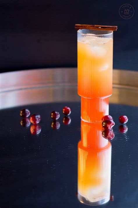 Apple Cranberry Crush - Taste and Tipple - Ottawa Food Blogger