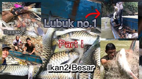 Penuh Perahu Menjala Ikan Semah Mahseer Di Hulu Sungai Pedalaman