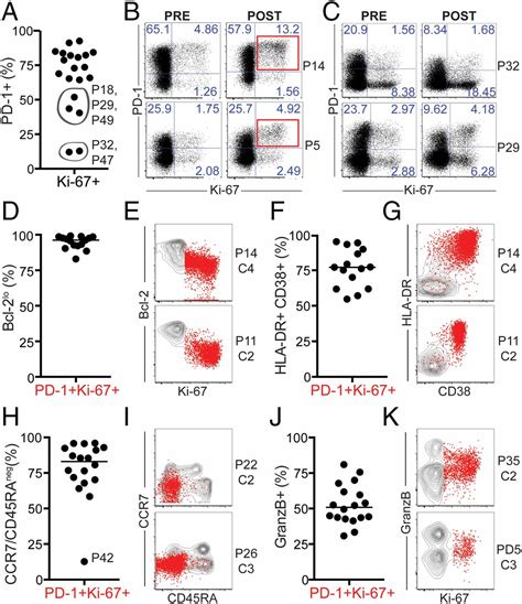 Proliferation Of Pd Cd T Cells In Peripheral Blood After Pd