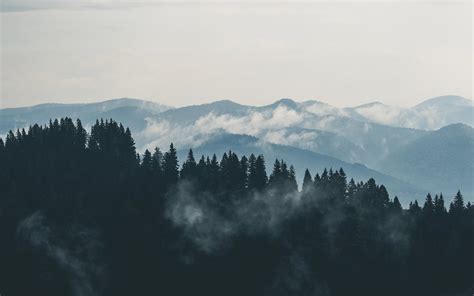 fog background      fog background stock