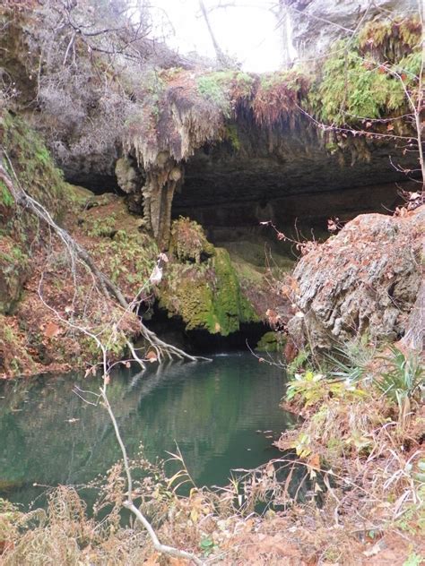 Westcave Preserve, TX | Road trip, Outdoor, Trip