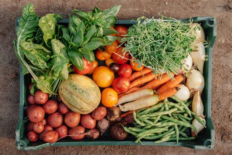 How To Save 24000 A Year Growing Your Own Food Trulias Blog Life