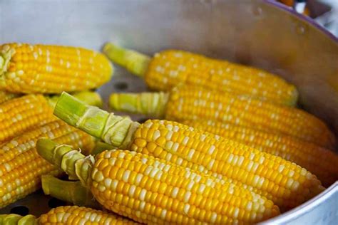 Como fazer milho cozido Para o lanche das férias CenárioMT