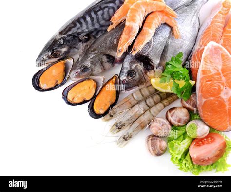 Fresh Fish And Other Seafood Isolated On White Stock Photo Alamy