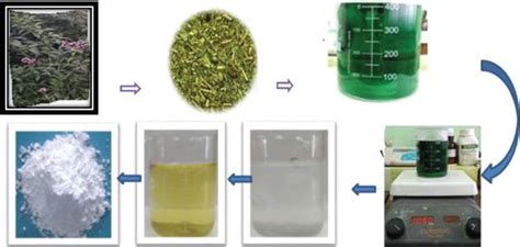 Green Synthesis Procedures Of Titanium Oxide Tio2 Nanoparticle