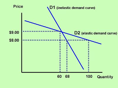 Section 2: Elasticity and the Slope of the Demand Curve | Inflate Your Mind