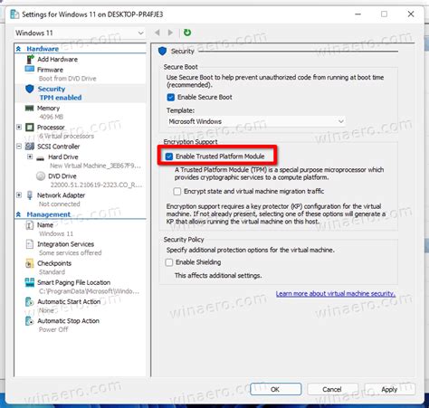 Windows 11 Virtual Machine Stellarraf