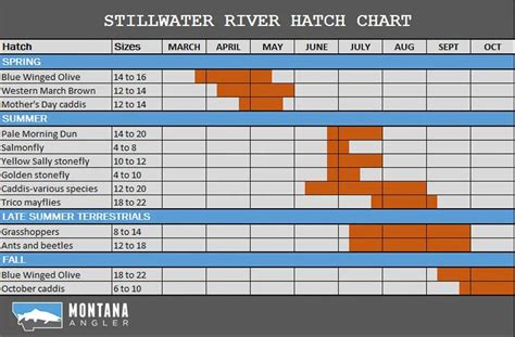 Stillwater River Hatches And Hatch Chart