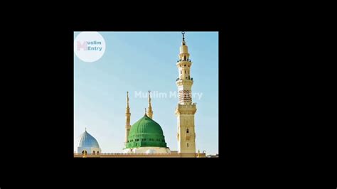 Imam Hassah Th Caliph Of Islam Nawasa E Rasool Shortvideo