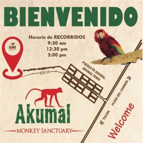 New Animal/Monkey Sanctuary Open in Akumal | allinclusivegal