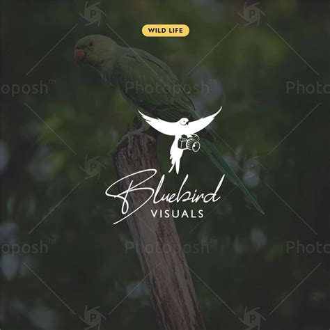 Wildlife Photography Logos Branding Ideas Photoposh