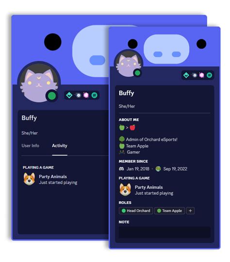 Configurações De Status De Atividade Rich Presence Discord