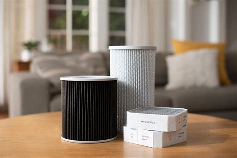 How often do Molekule filters need to be replaced?