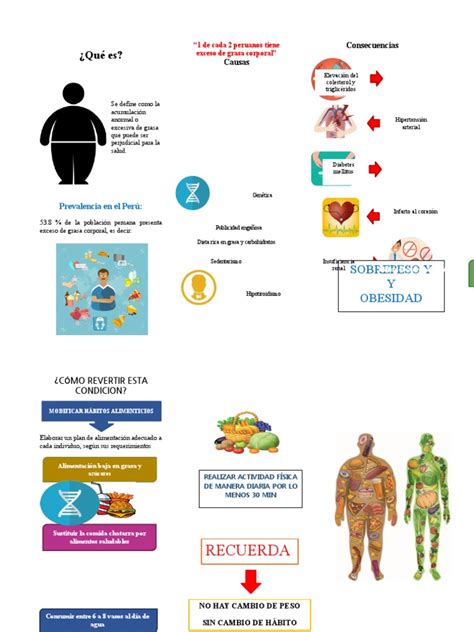 Sobrepeso Y Obesdiad Pdf Tejido Adiposo Obesidad