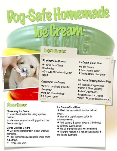 56 Best Photos Homemade Puppy Formula Without Yogurt How To Make