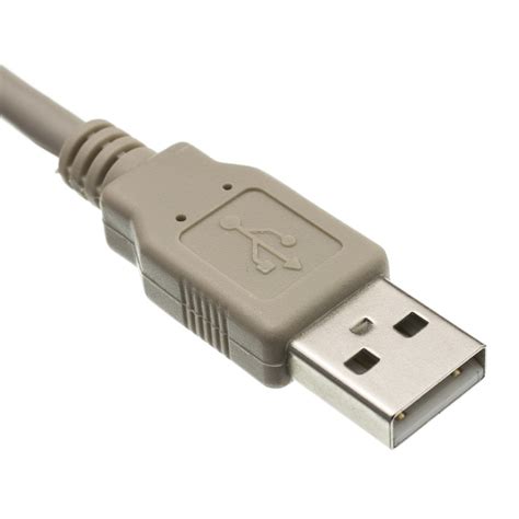 Buy Cablewholesale 6 Feet Usb 20 Printerdevice Cable Beige Type A