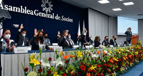 Asamblea General De Socios