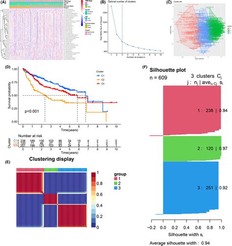 Metabolic Pathway Activity Clustering Analysis A Heatmap Of 41 Kegg